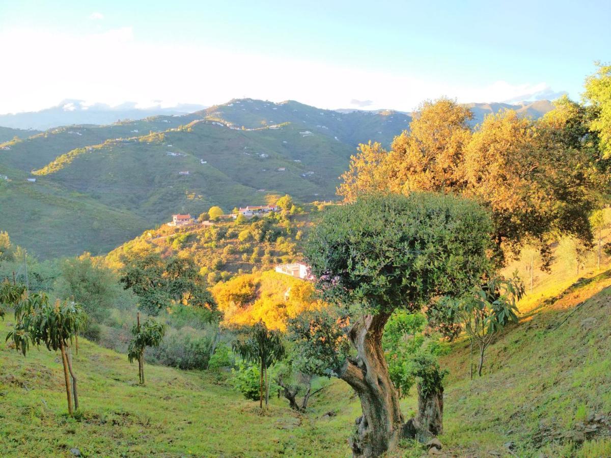 Villa Las Encinas Costa Del Sol Torrox Exteriér fotografie