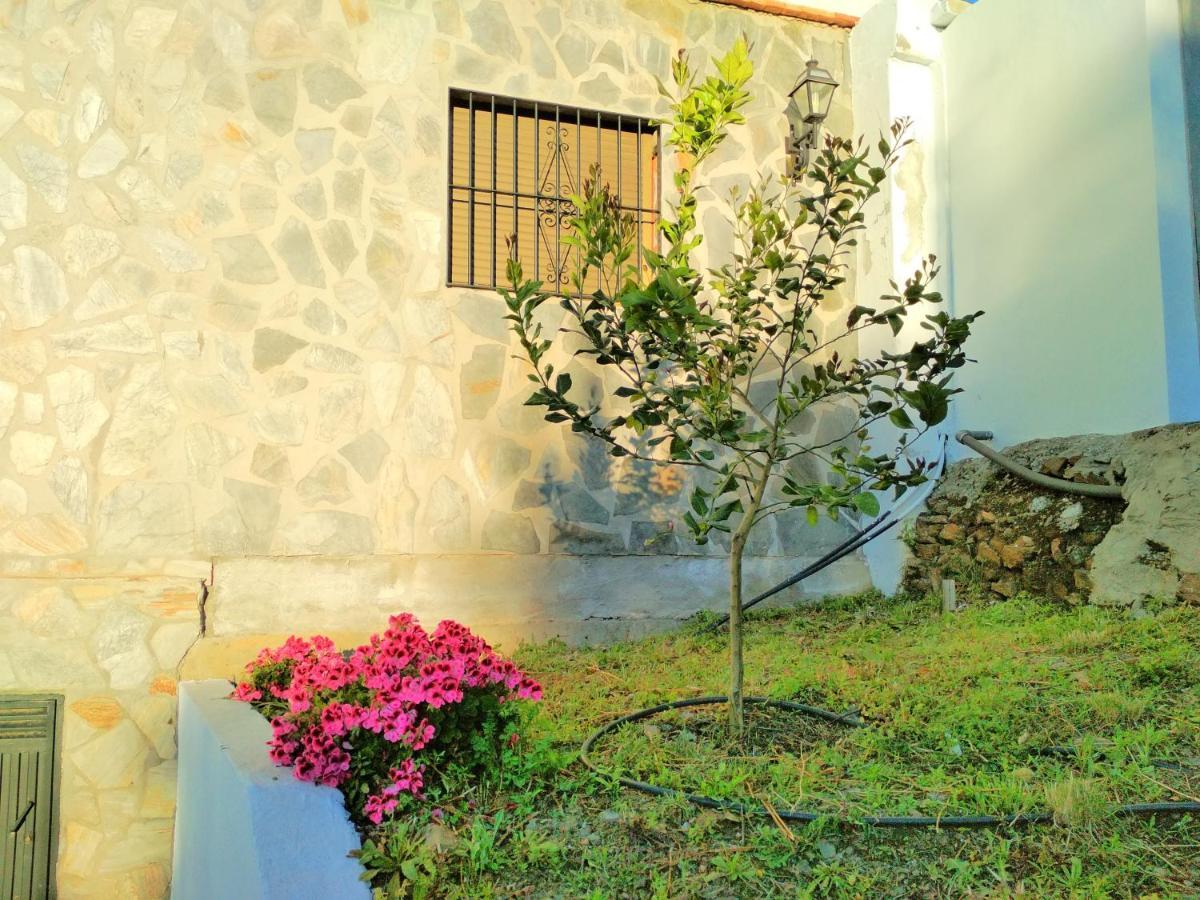 Villa Las Encinas Costa Del Sol Torrox Exteriér fotografie