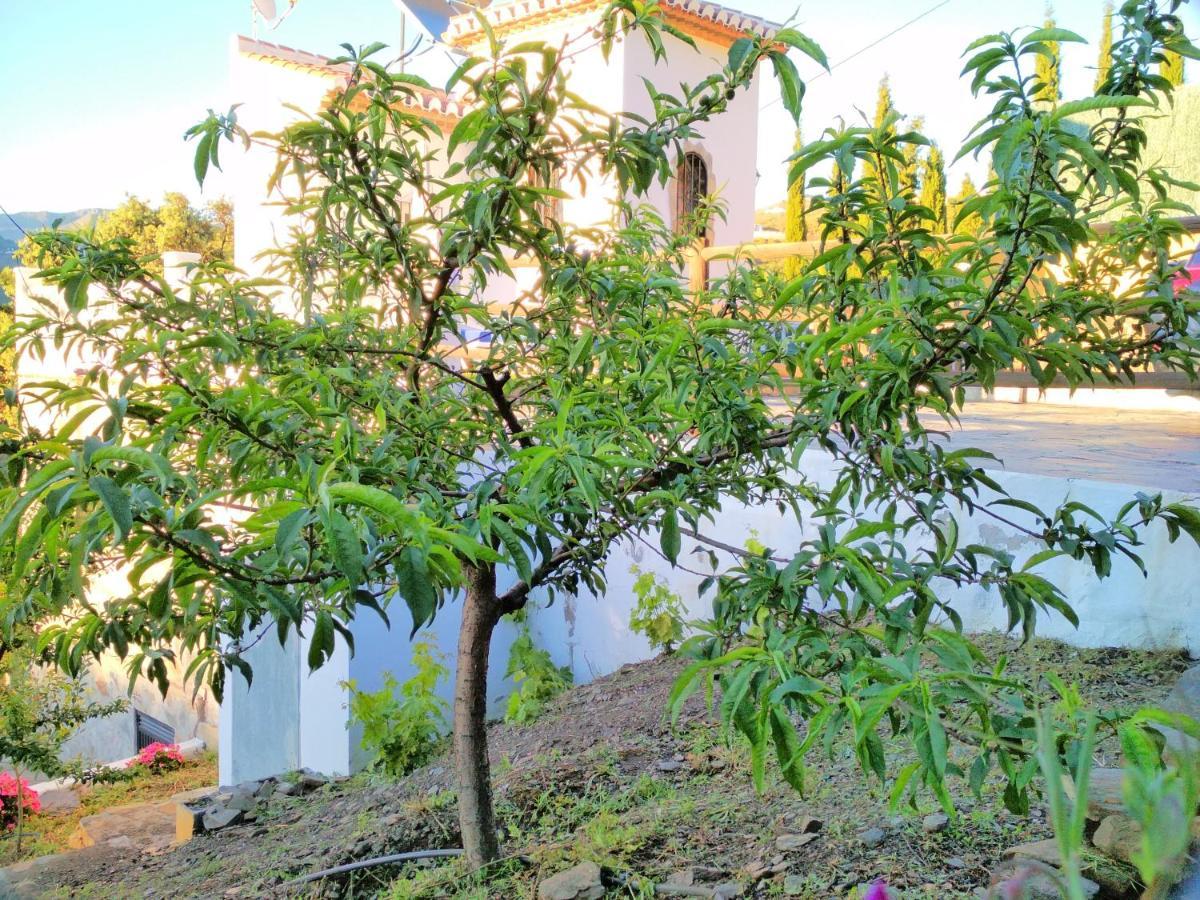 Villa Las Encinas Costa Del Sol Torrox Exteriér fotografie