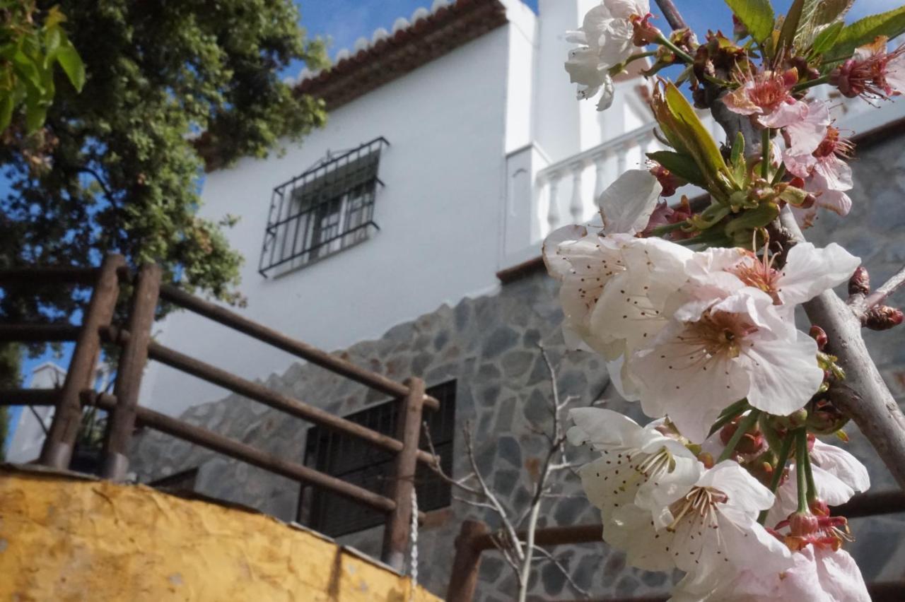 Villa Las Encinas Costa Del Sol Torrox Exteriér fotografie